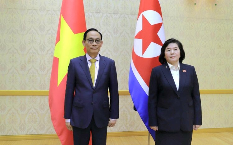 Vietnamese Foreign Minister Le Hoai Trung, special envoy of Party General Secretary and President Tô Lâm, meets North Korean Foreign Minister Choe Son Hui in Pyongyang, May 13, 2026. (Vietnam News Agency)