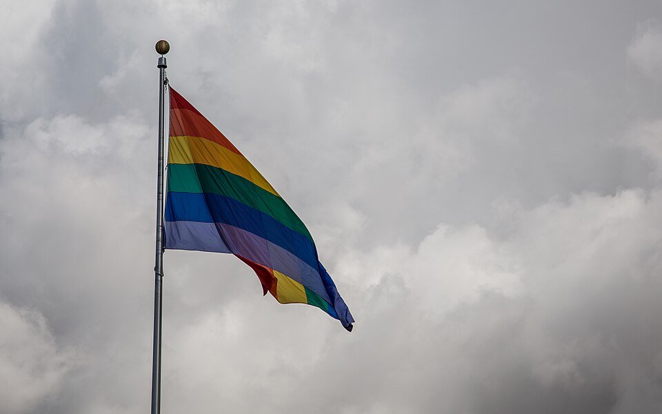 Illustration of Pride Flag. (Tony Webster/Wikimedia)