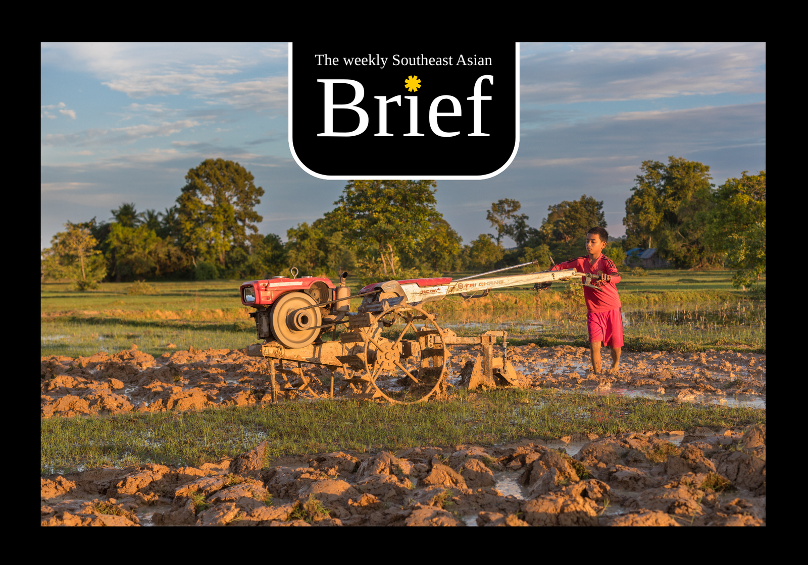 A boy plowing a paddy field in Don Det, Laos. (Wikimedia/Basile Morin)