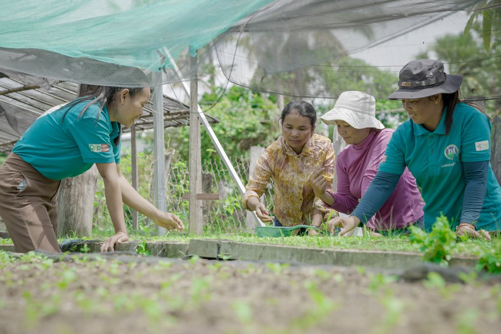 Climate-resilient vegetable nursery in Cambodia. (FAO)