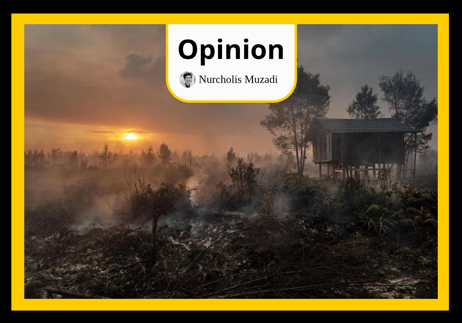 Burnt peatland in Central Kalimantan, Indonesia, following recurring forest and land fires during the 2026 dry season. (Krismes Santo Haloho/Mongabay Indonesia)