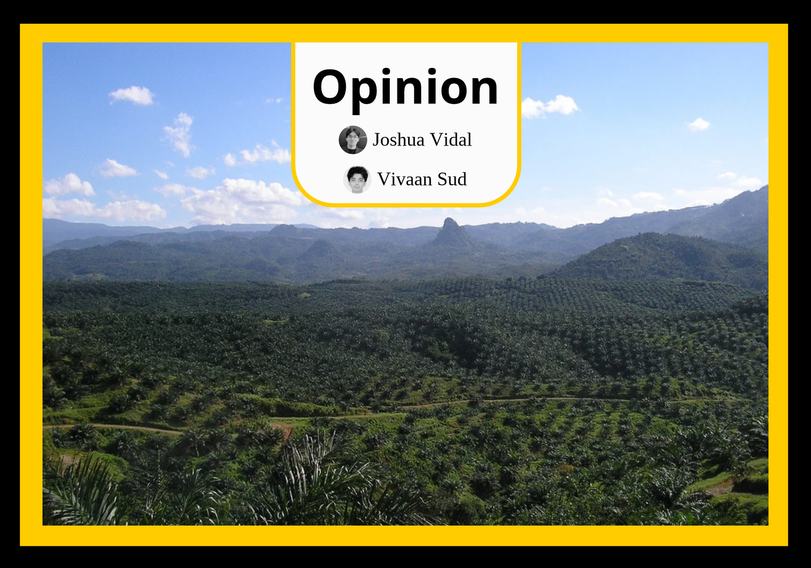 View of palm oil plantation in Cigudeg, Bogor in 2008. (Wikimedia/Achmad Rabin Taim)